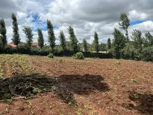 Ngong 1/2acre Redsoil