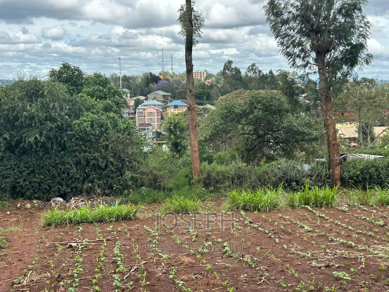 Ngong 1/2acre Redsoil