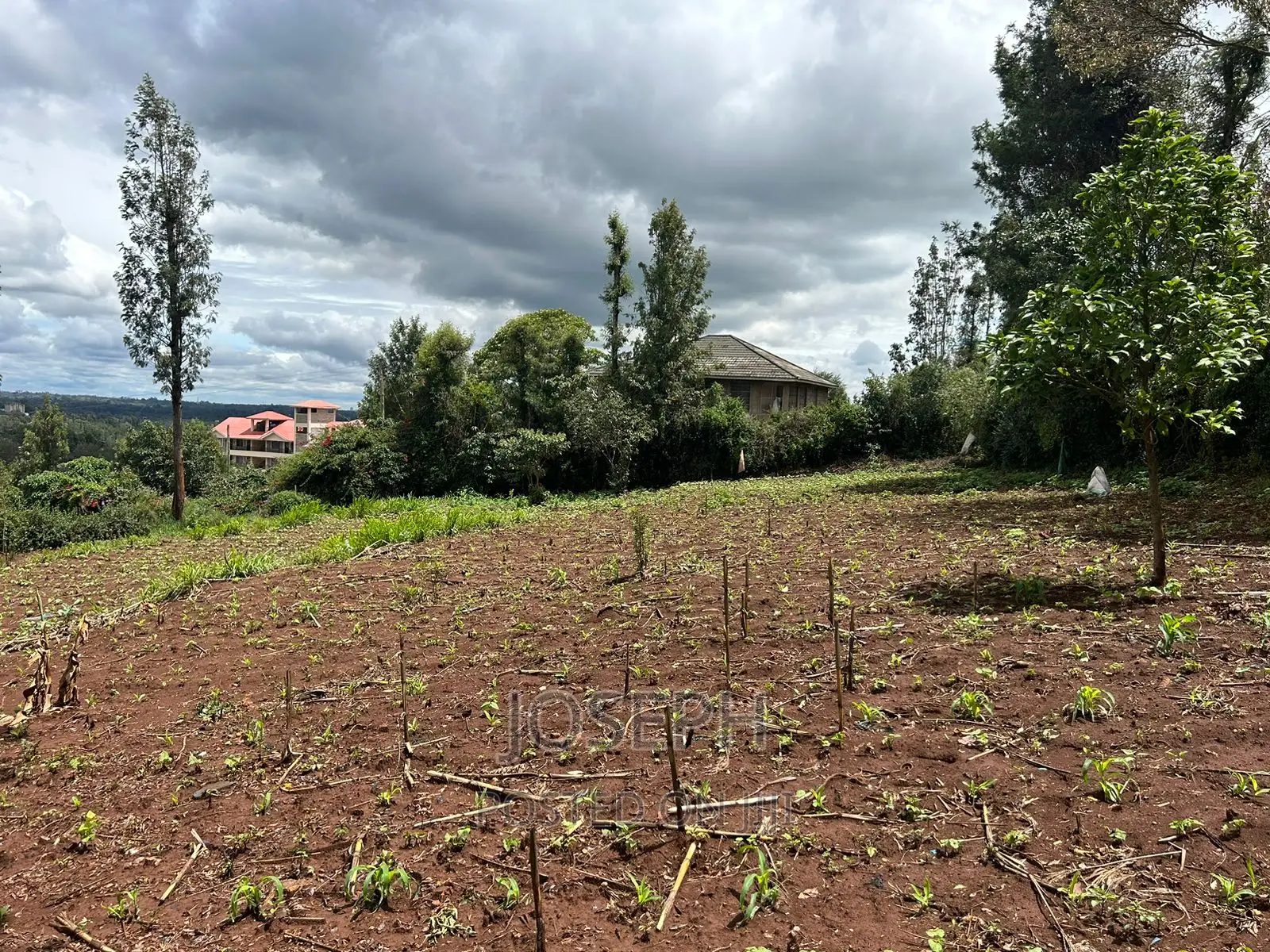 Ngong 1/2acre Redsoil