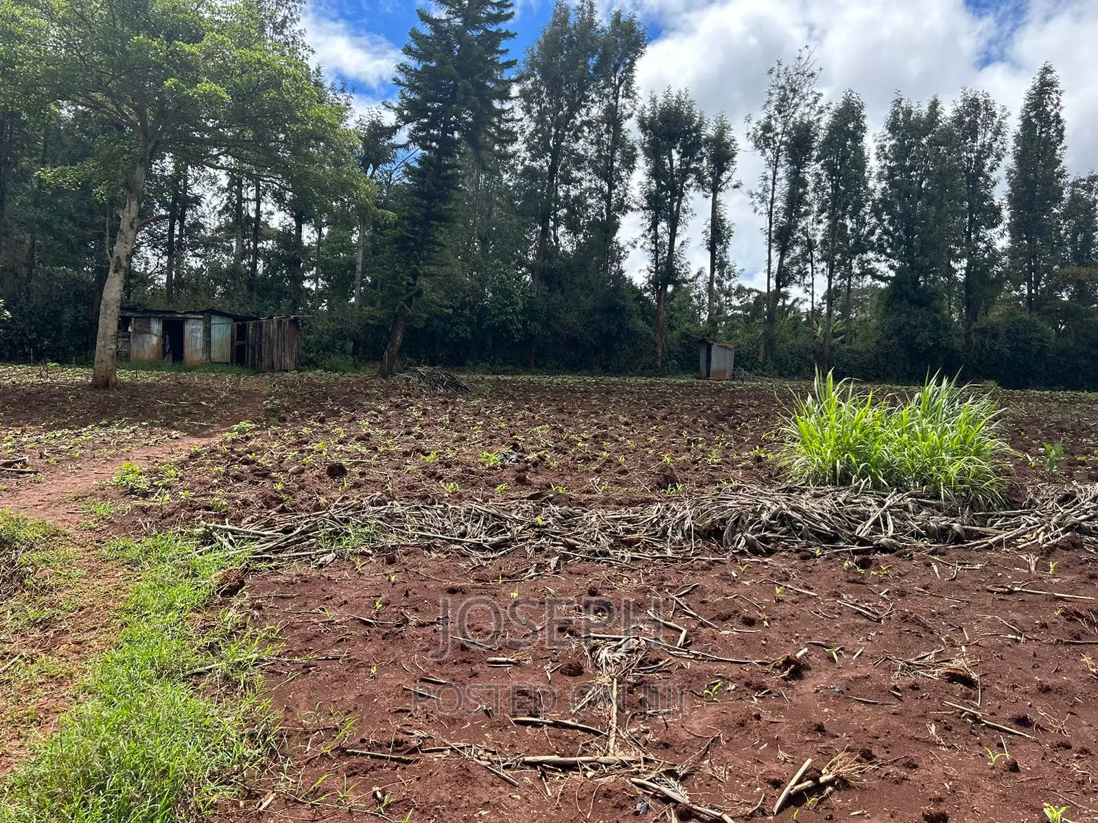 Ngong 1/2acre Redsoil