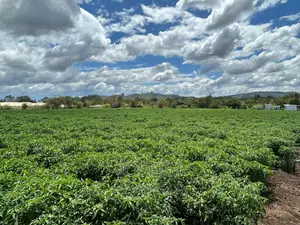 Sagana 7acres River Frontage Farm