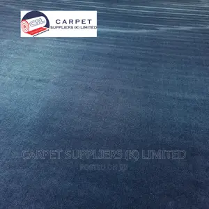 Blue Carpet