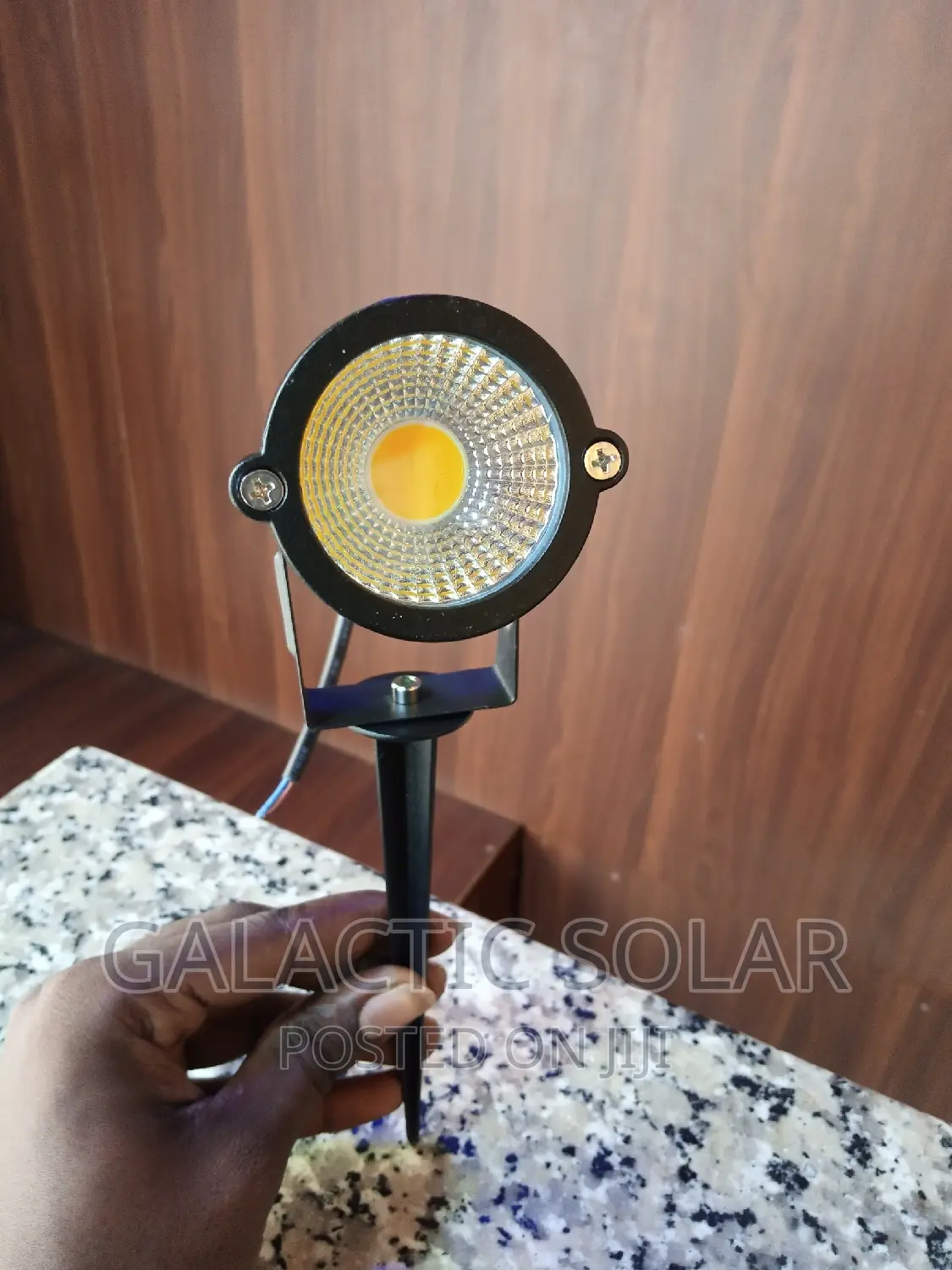 Spike Light Outdoor