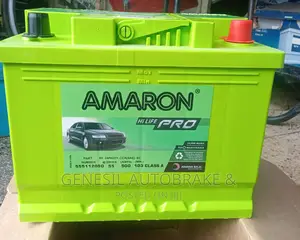 Din 55 Battery