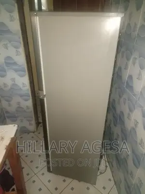 Fridge Sales