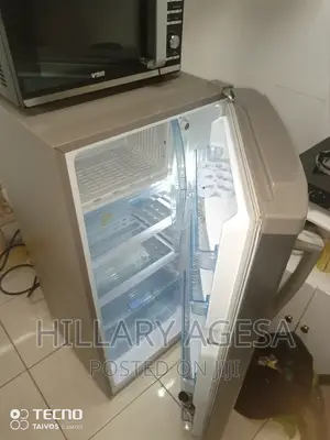 Freezer Leakage Repair