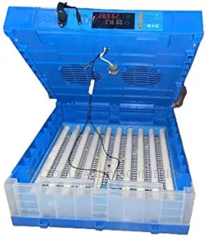 Affordable Automatic 64 Eggs Incubator