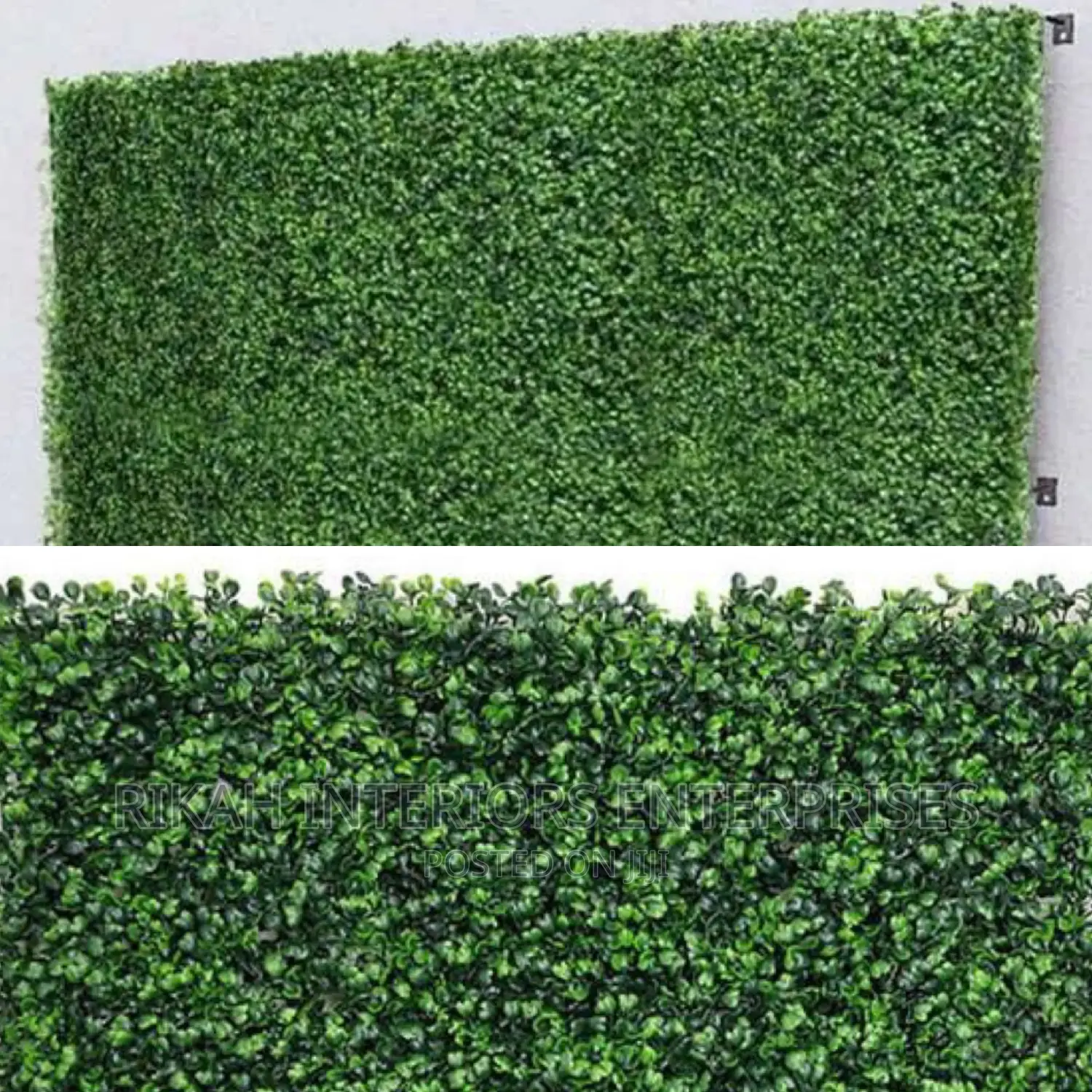 Wall Hedge Wall Hedge 40by 60 Cm Wall Hedge