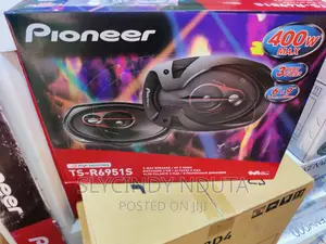 Pioneer TS-R6951S Speaker