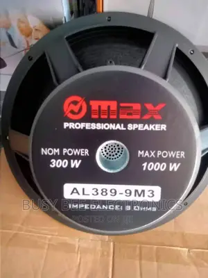 Al 389 Naked Speaker