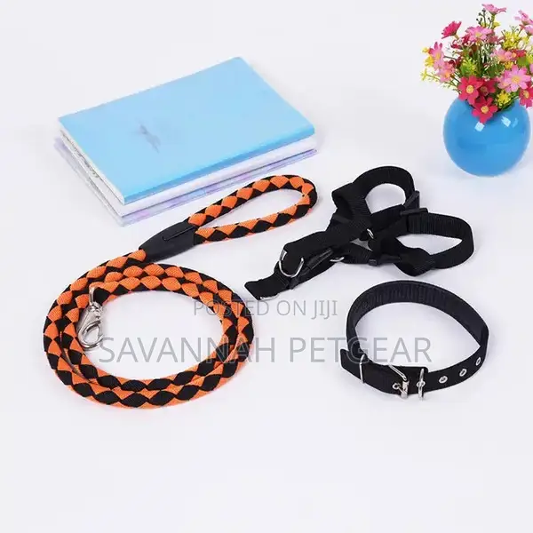 Heavy Duty Dog Harness and Leash Collar Set