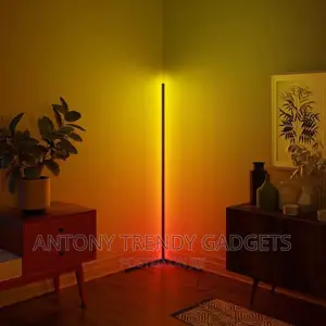 Led Modern Floor Lamp For Living Room