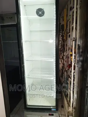 Display Fridge 500l