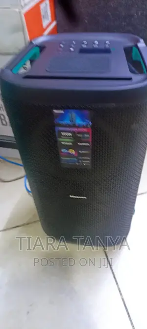 Hisense 300watts Hp100 Wireless Party Rocker