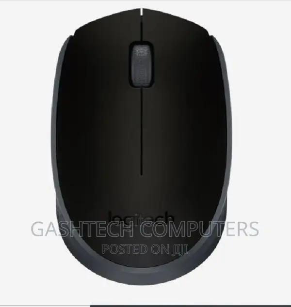 Logitech Wireless Mouse M171//Logitech Wireless Mouse M171