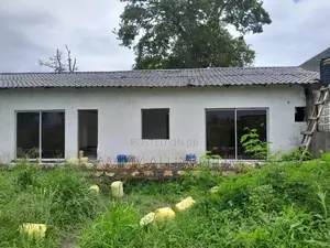 Double Glazed Windows