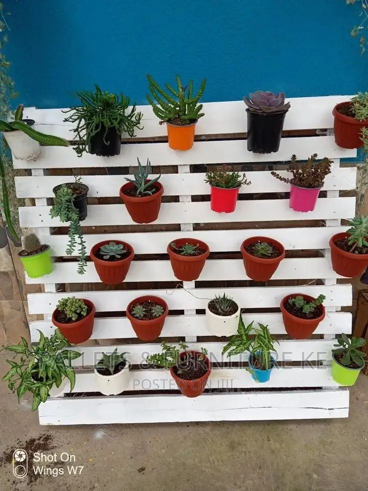 Unique Pallet Planters.