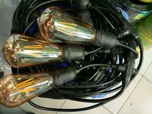 Rope Lights 20mtrs 25bulbs