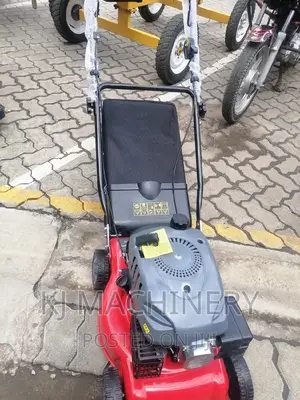Push and Pull Gasoline Lawn Mower-Hanseatic Brand