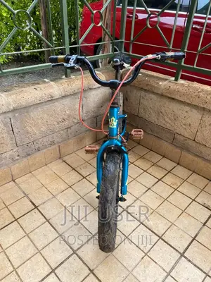Used Original Children Bicycle