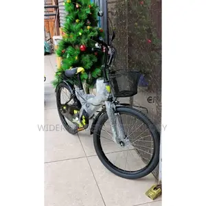 Lion King Kids Bike Size 20" Without Trainer Wheels (7~12 Yr