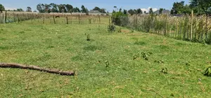 Prime Plot for Sale in Royalton After Annex Eldoret