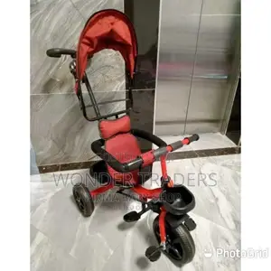 Kids  Kids  Tricycle