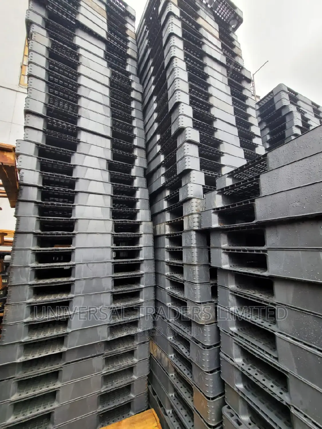 Plastic Pallets - Clean HD Plastic Pallets Available