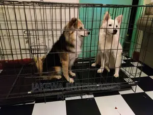 Dog Cage Collapsible Large Stainless Steel Foldable Kennel