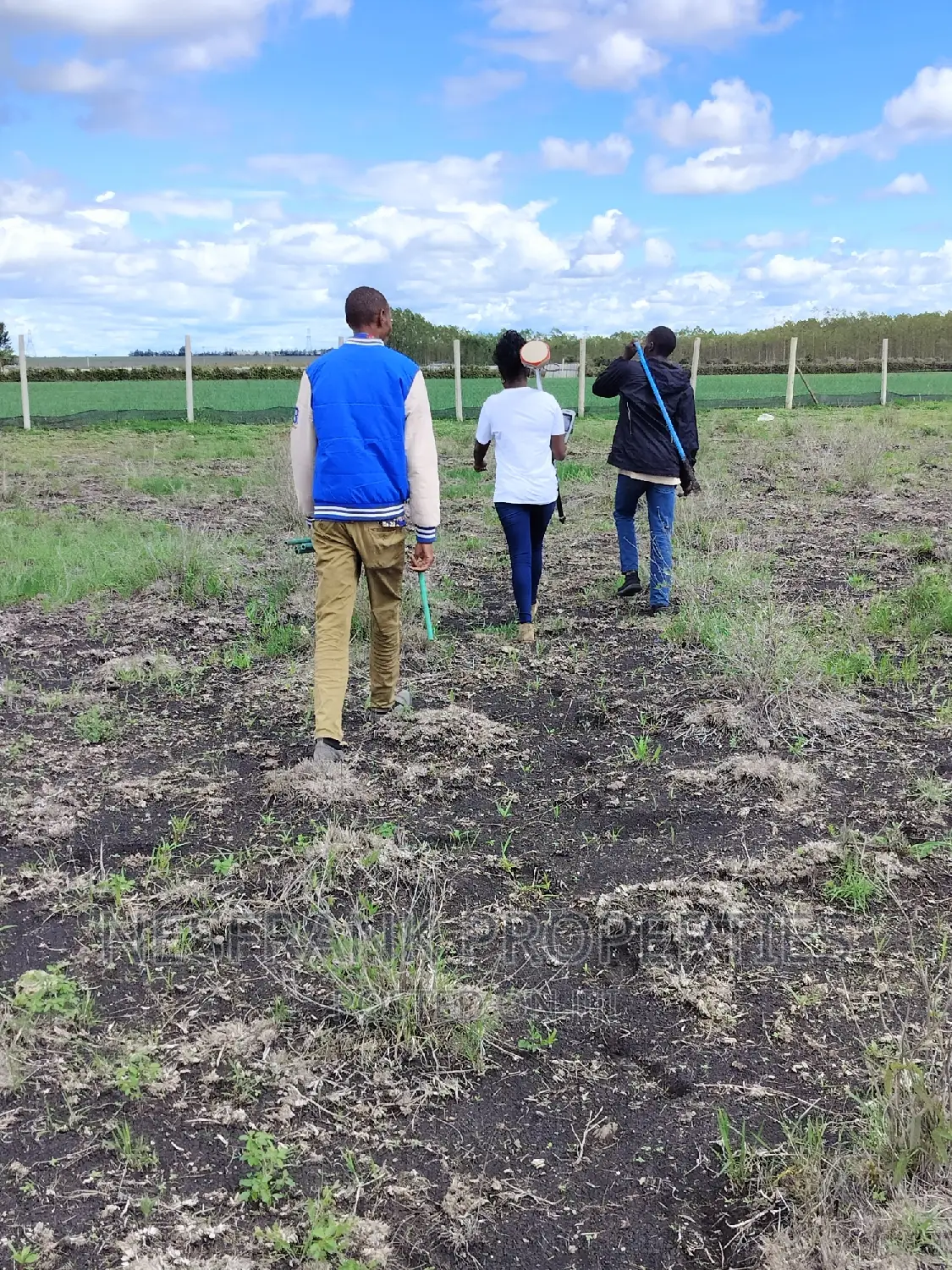 Isinya Prime Plots