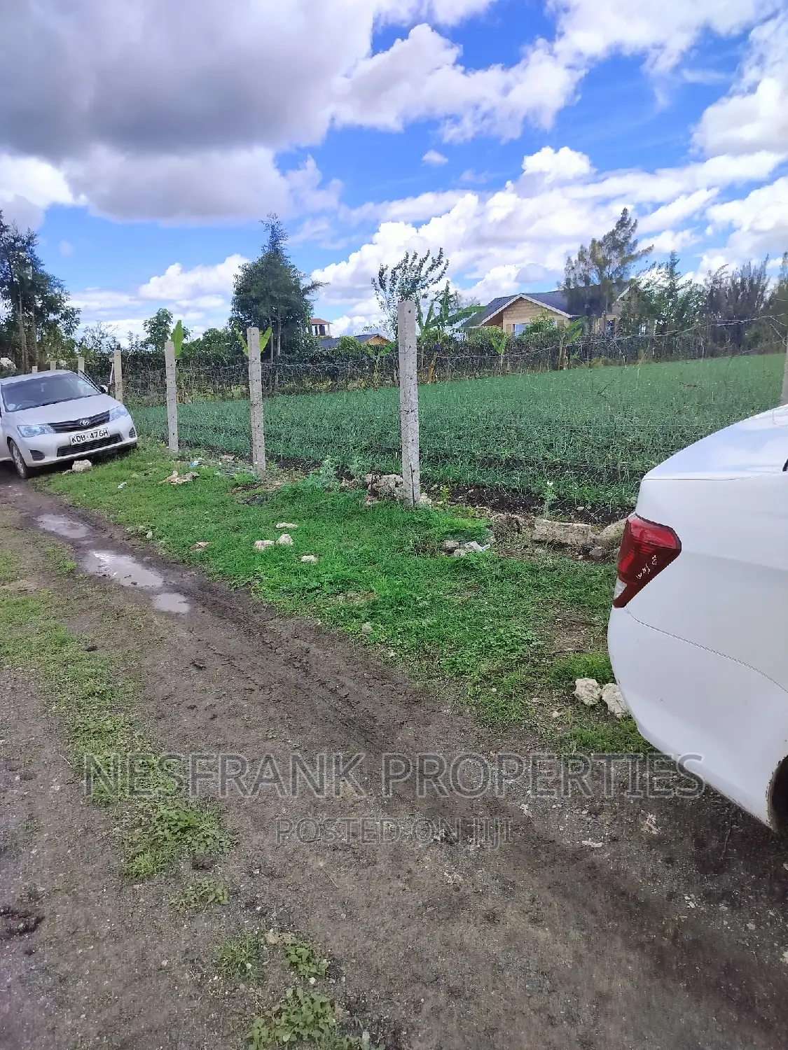 Isinya Prime Plots