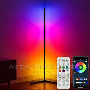 Modern Floor Lamp for Living Room