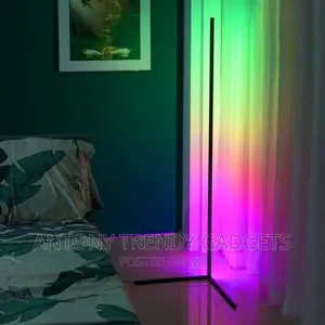 Modern Floor Lamp Rechargeable