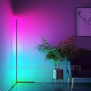 LED Corner Floor Lamp