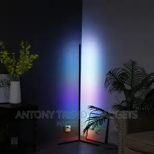 Modern LED Floor Lamps