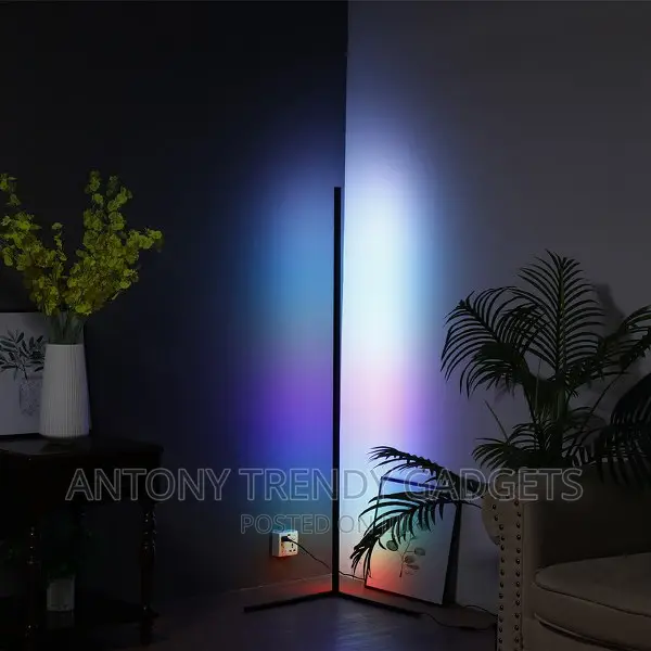 Modern LED Floor Lamps