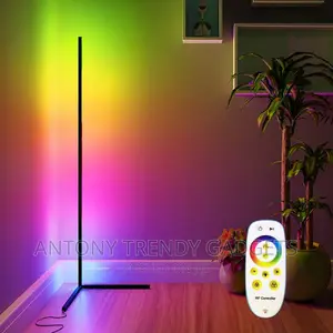 Smart Modern LED Floor Lamps