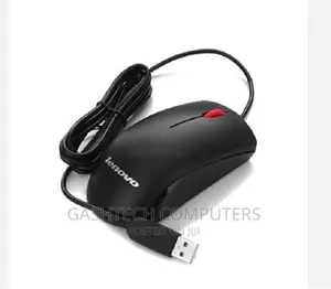 Lenovo 120 USB Mouse
