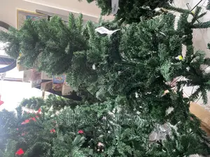 Christmas Tree 12 Feet Available