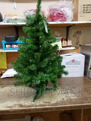 5feet Quality Best Christmas Tree