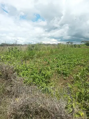 Distress Sale 1/4 Plot in Joska