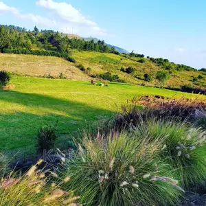 Prime Scenic 2.3 Acres in Kibiko ,Lemiso at 70m