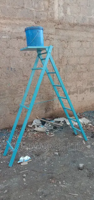 Platform Ladder