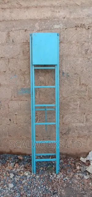 Platform Ladder
