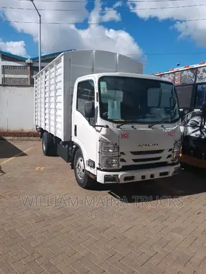 Isuzu NMR Truck