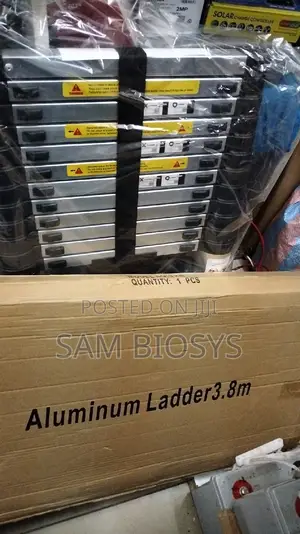 Telescopic Ladder