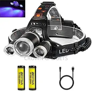 Generic Rechargeable Head Light Flashlight Torch Lamp