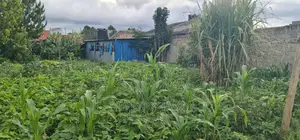 1bdrm House in Annex, Racecourse for sale