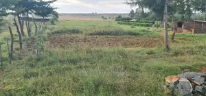 30 Acres Land for Sale in Moiben Rayfarm in Eldoret