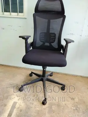 Othropedic Office Chair Othropedic Chair Office Chair Office